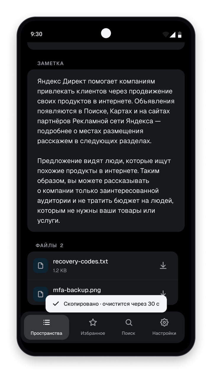 Уведомление «Скопировано — очистится через 30 с» и список вложенных файлов записи